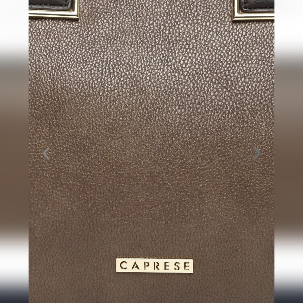 Caprese taupe solid shoulder bag - Picture 8 of 12